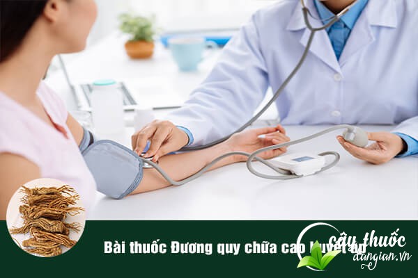Bài thuốc chữa cao huyết áp, bệnh tim mạch từ Đương quy cũng rất tốt.