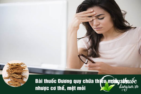 Đương quy thường được dùng để làm bài thuốc chữa thiếu máu.