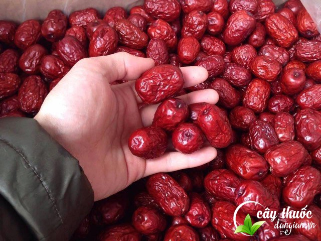 cac-tac-dung-tuyet-voi-tu-tao-do