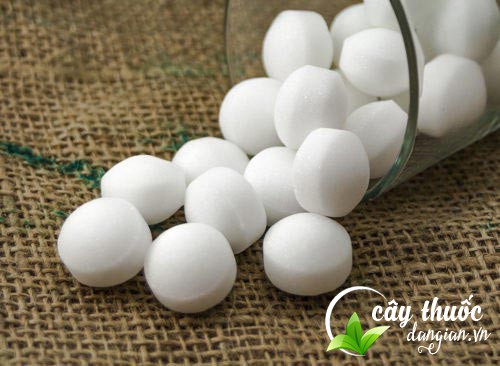 Lưu ý khi sử dụng long não