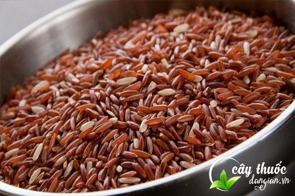 Nên bảo quản gạo nứt ở trong các hộp đậy nắp kín và để nơi khô ráo.