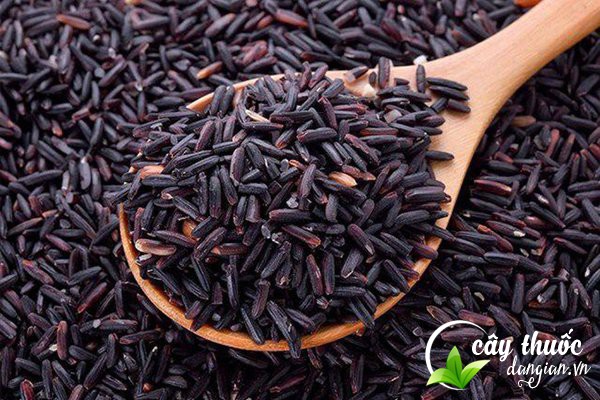 Gạo lứt được phân theo nhiều loại như gạo lứt đỏ, gạo lứt đen, gạo lứt trắng,...