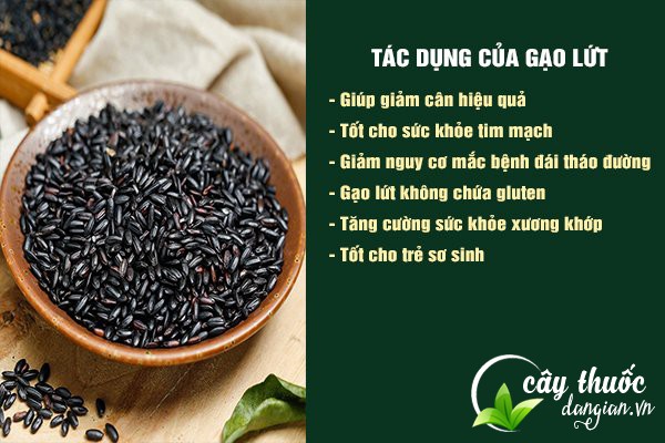Gạo lứt mang đến nhiều công dụng tốt cho sức khỏe như: giúp giảm cân, đẩy lùi bệnh tim mạch,...