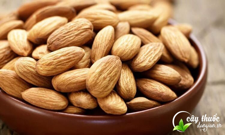 Tác dụng của hạnh nhân đối với sức khỏe