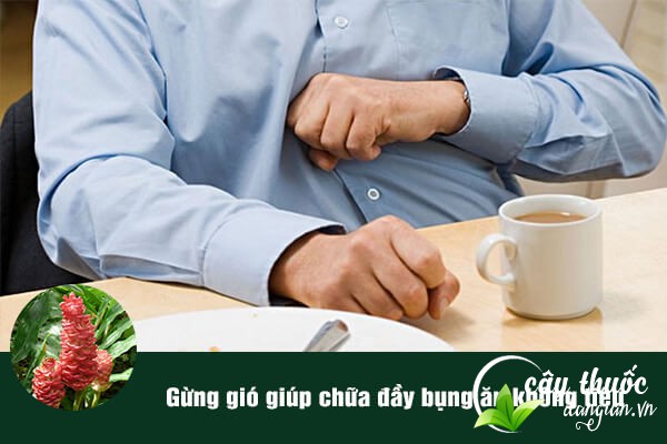 Bài thuốc củ gừng dại chữa đầy bụng, ăn không tiêu được nhiều người áp dụng.