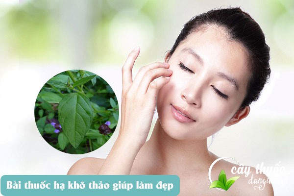 Nhiều chị em sử dụng hạ khô thảo để trị mụn, làm đẹp