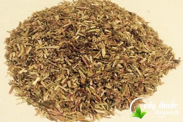 Lưu ý dùng hạ khô thảo đúng liều lượng để có hiệu quả tốt nhất