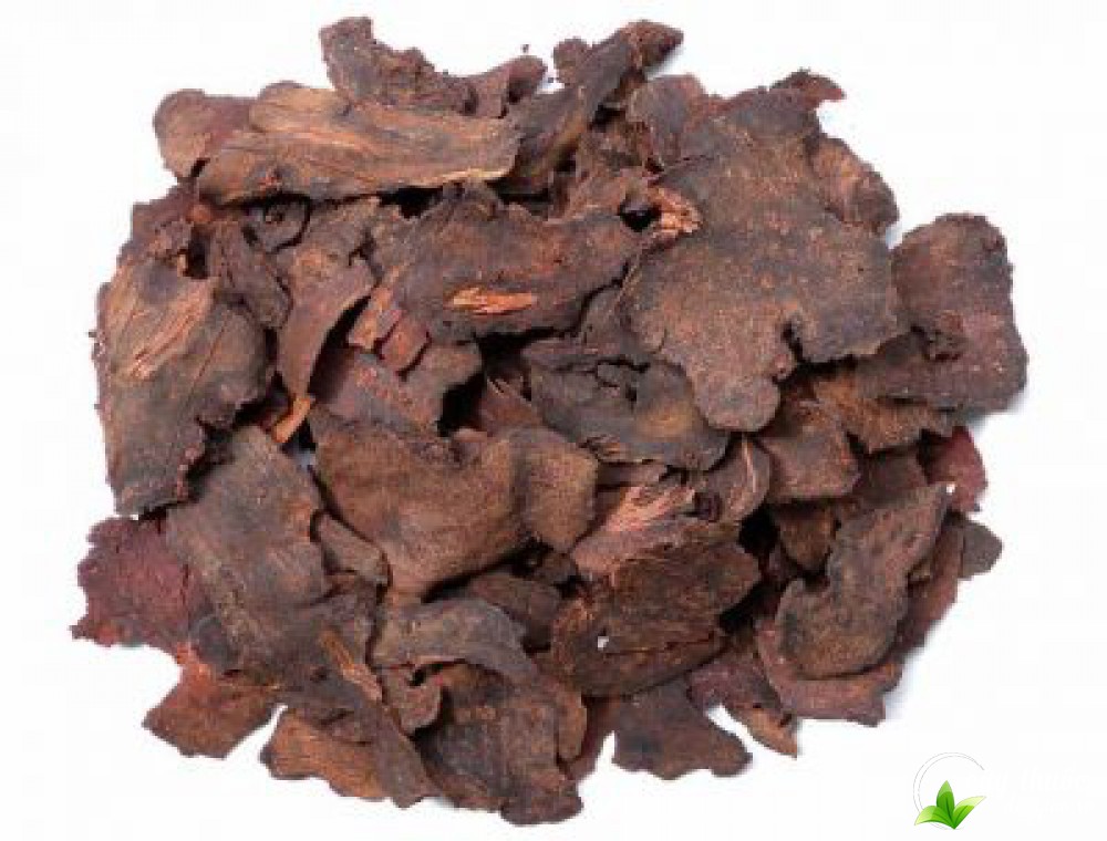 Hà thủ ô đỏ với nhiều tác dụng