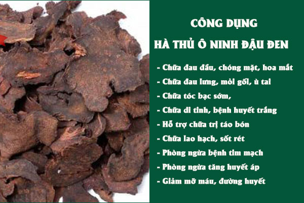 Những công dụng tuyệt vời của Hà thủ ô ninh đậu đen với sức khỏe