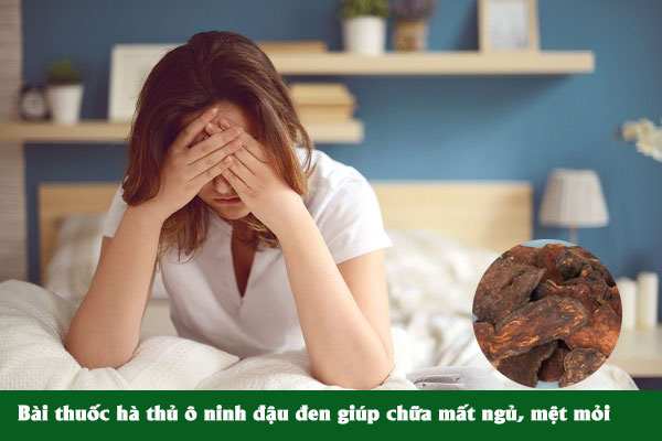 Hà thủ ô ninh đậu đen giúp chữa mất ngủ, mệt mỏi hiệu quả