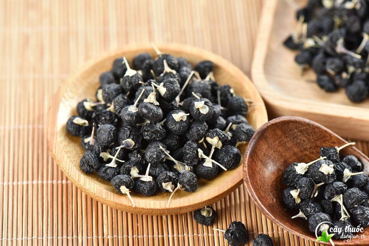 Hắc kỳ tử là vị thuốc quý