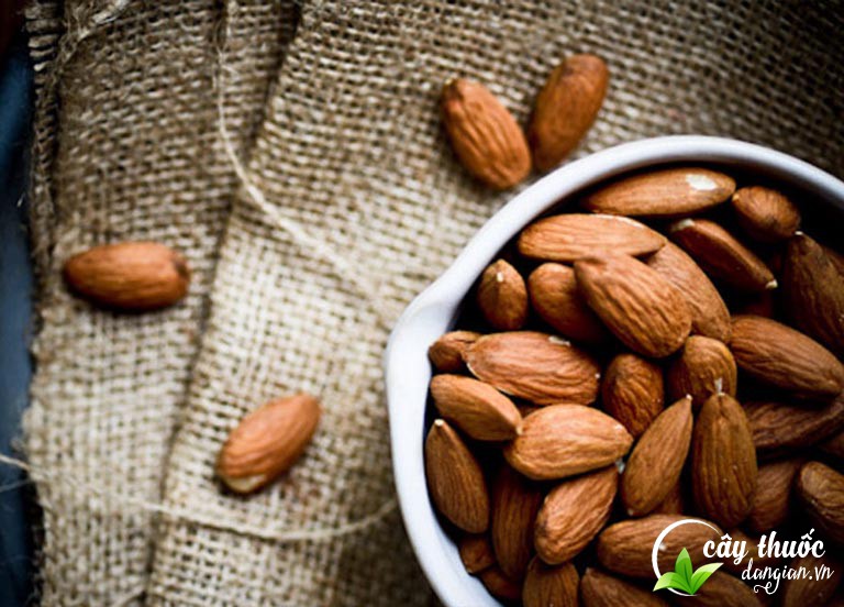 Bài thuốc chữa bệnh từ hạnh nhân