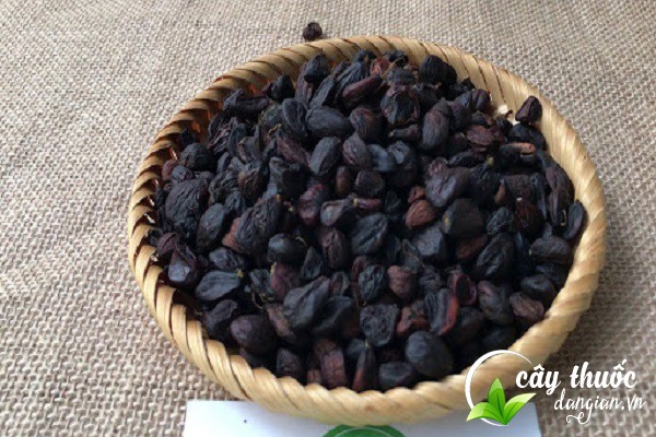 Hạt dổi chứa đựng những lợi ích gì?