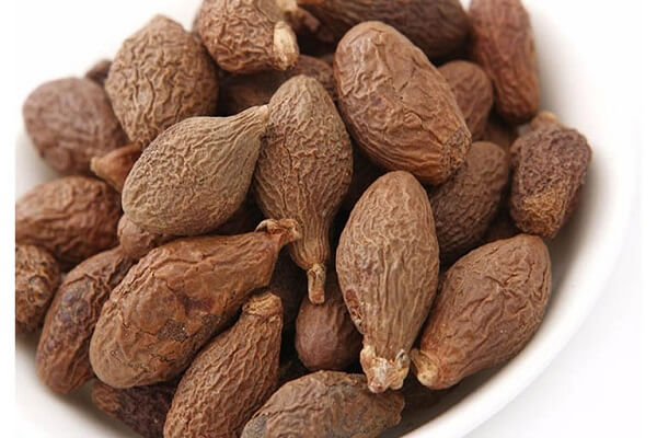 Hạt đười ươi là một loại quả được lấy từ cây đười ươi, đây vừa là một thức uống giải khát, vừa là một vị thuốc.