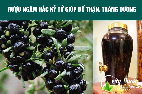 Rượu ngâm hắc kỷ tử giúp bổ thận tráng dương cho nam giới