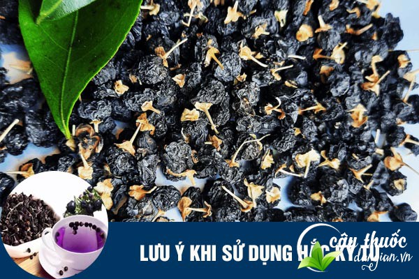 Lưu ý tham khảo ý kiến bác sĩ khi sử dụng hắc kỷ tử làm thuốc