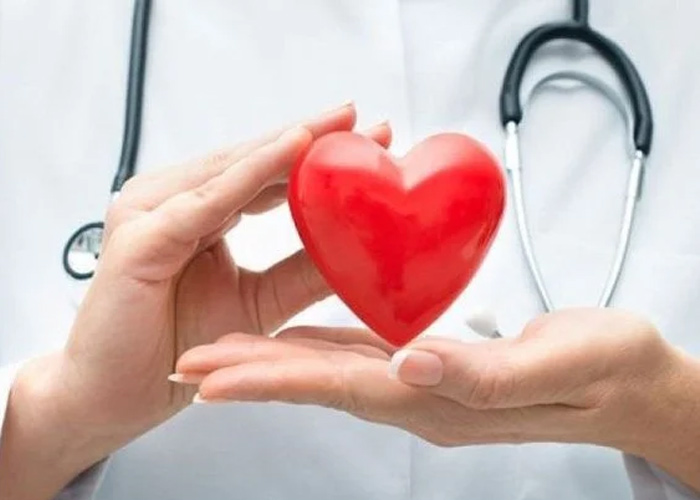 Hạt kê Tốt cho hệ tim mạch