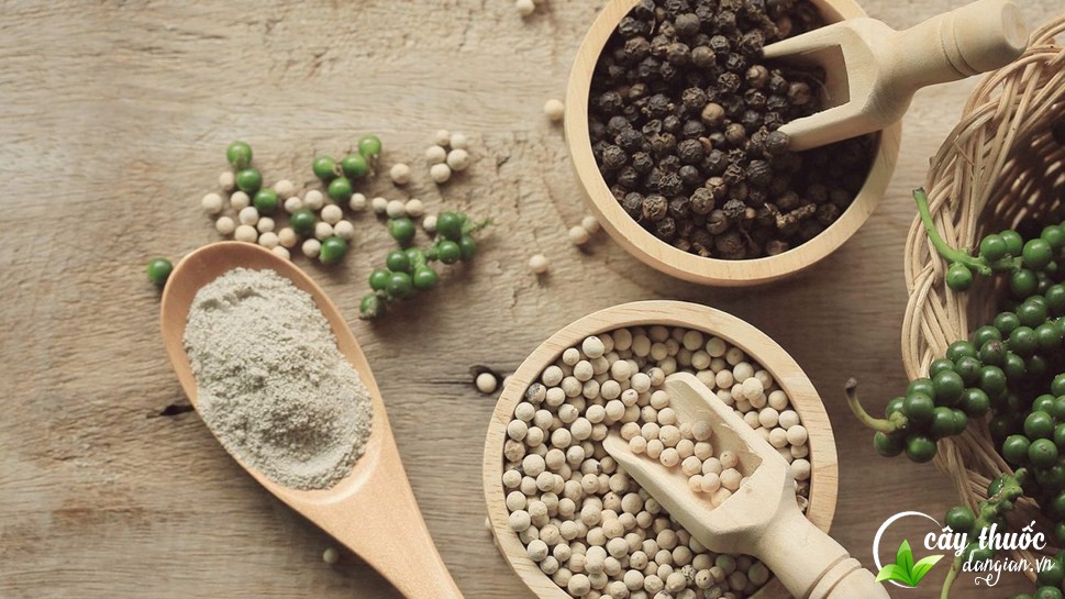 Hạt tiêu là gia vị chính trong mỗi món ăn hàng ngày
