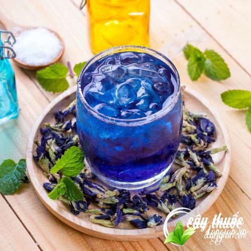 Lợi ích từ hoa đậu biếc