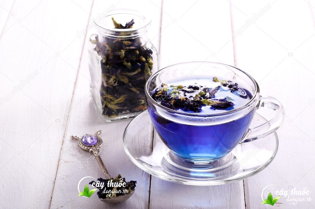 Hoa đậu biếc mua ở đâu để có chất lượng tốt, giá hợp lí?