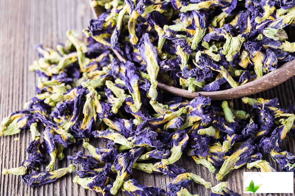 nen-mua-hoa-dau-biec-o-dau