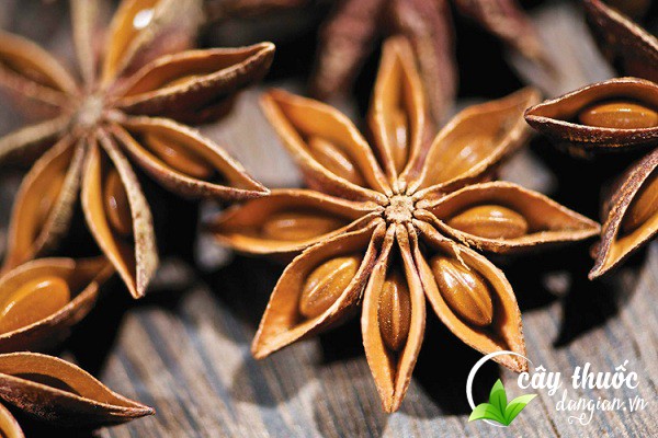 Hoa hồi được gọi với nhiều tên gọi khác nhau như hồi, đại hồi hương, đại hồi,...