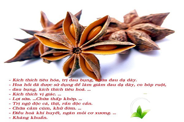 Công dụng của đại hồi rất tốt cho sức khỏe