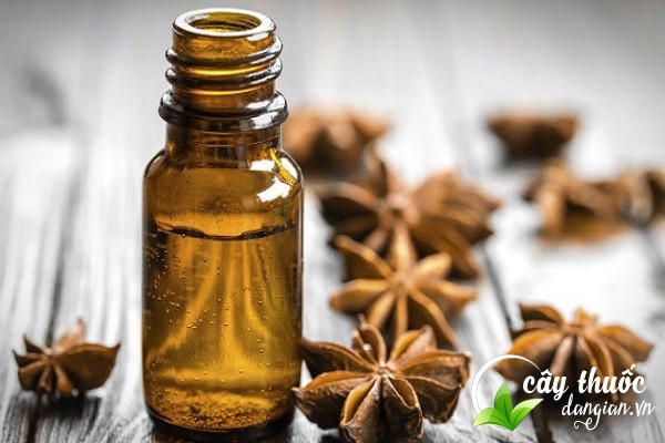 Pha loãng một ít tinh dầu hồi với nước uống giúp trị ho, long đờm