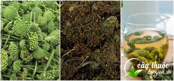 cach-su-dung-va-bao-quan-nu-hoa-tam-that