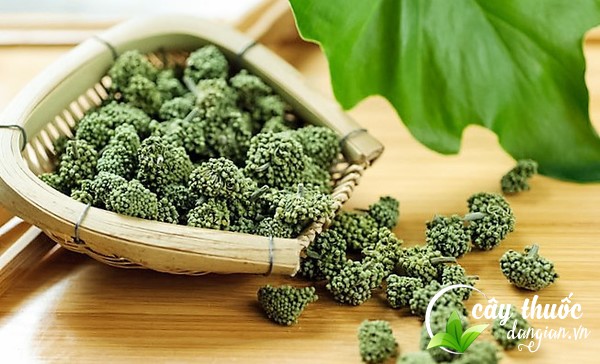 cach-dung-nu-hoa-tam-that