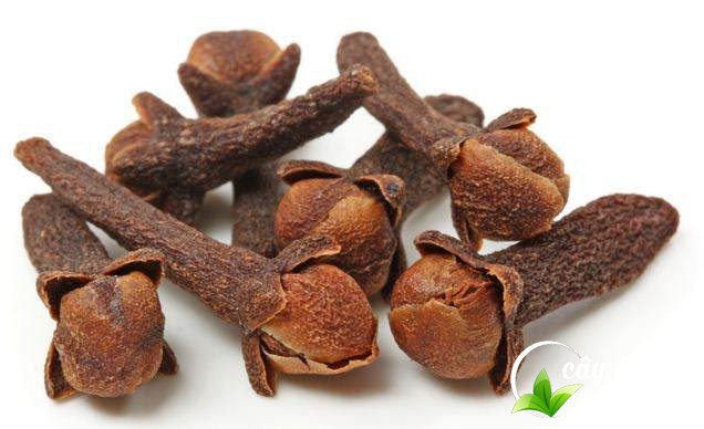 Nụ đinh hương khô