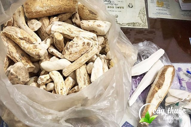 Hoài sơn đã bào chế