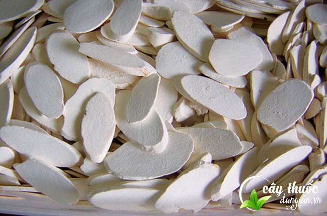 Hoài sơn giúp điều trị bệnh tiểu đường