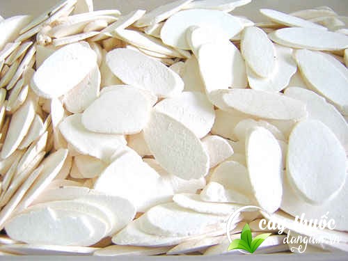 Cách ngâm rượu hoài sơn