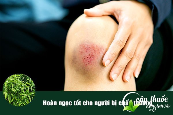 Bài thuốc từ Hoàn ngọc chữa trị chấn thương vô cùng tốt và hiệu quả.