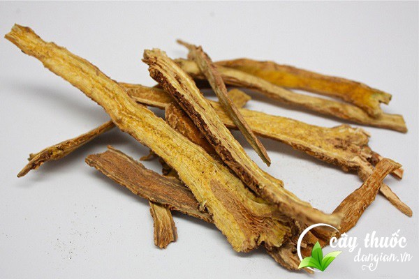 Lưu ý nên tham khảo ý kiến bác sĩ có chuyên môn trước khi sử dụng bài thuốc từ hoàng cầm chữa bệnh