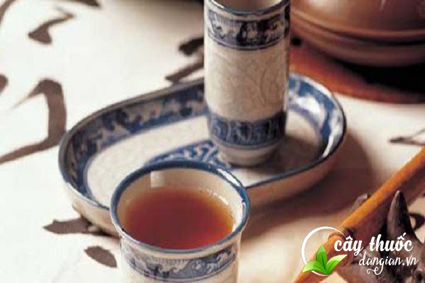 Sắc nước hoàng liên với một số vị thuốc khác giúp cải thiện chức năng tiêu hóa