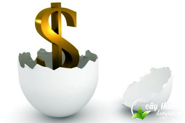 giao-co-lam-bao-nhieu-tien-1kg