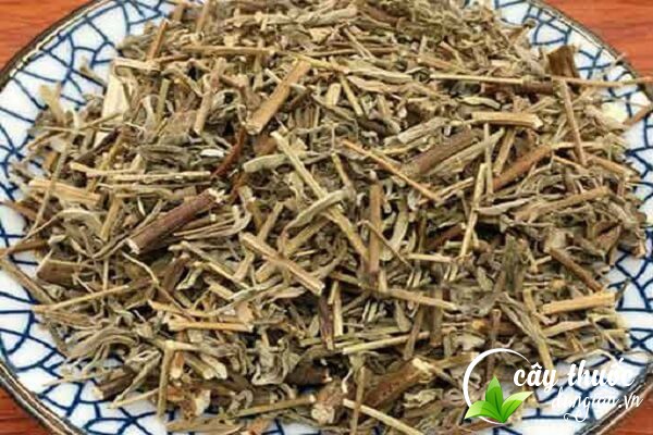 Lưu ý không sử dụng hương nhu khi bị ẩm mốc, có mùi lạ