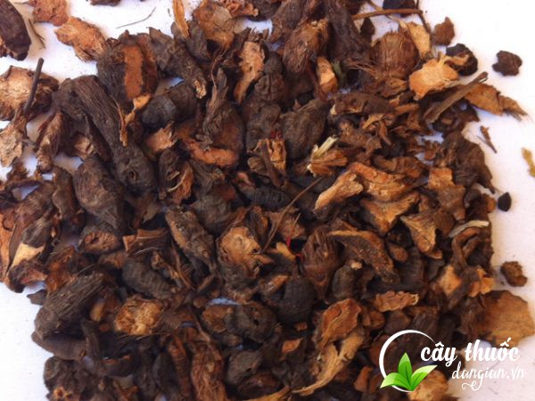 Mua hương phụ ở Cây Thuốc Dân Gian chất lượng