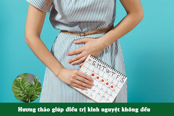 Hương thảo giúp chữa kinh nguyệt không đều, giảm đau bụng kinh.
