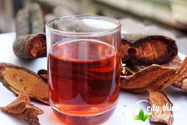 Bài thuốc kê huyết đằng trị bệnh thiếu máu, mệt mỏi,...