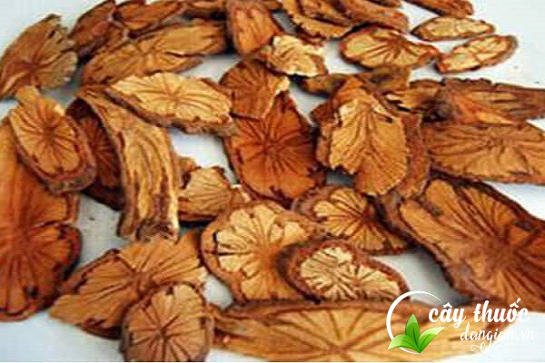 Lưu ý nên tham khảo ý kiến bác sĩ trước khi dùng kê huyết đằng