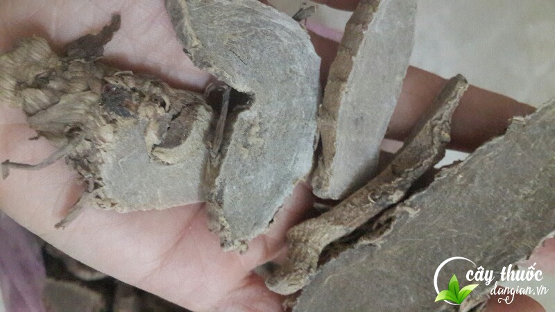 Cách ngâm rượu nghệ đen