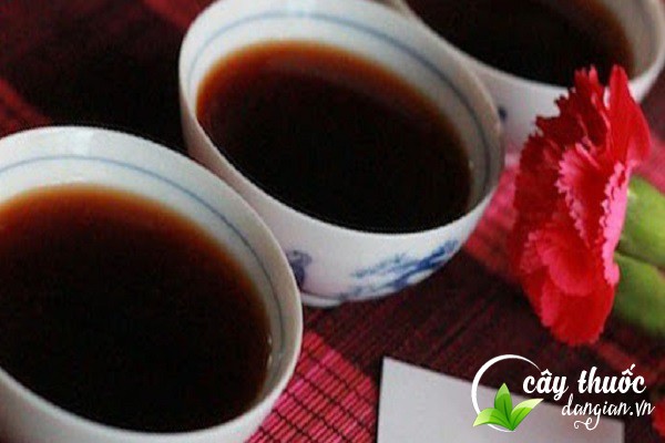 Bài thuốc kha tử chữa ho, khan tiếng do viêm họng