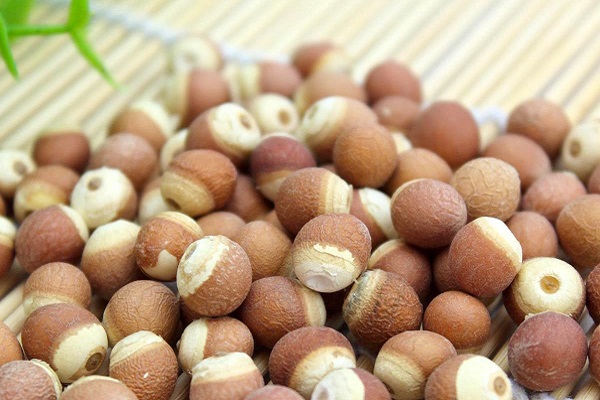 Khiếm thực là một vị thuốc được dùng nhiều trong các bài thuốc Đông y chữa bệnh