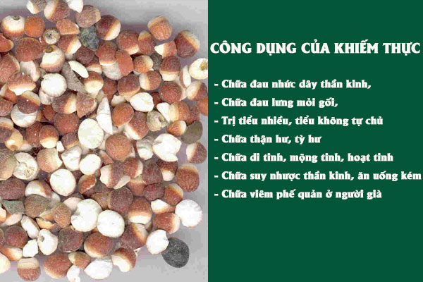 Những công dụng tuyệt với của vị thuốc Khiếm thực