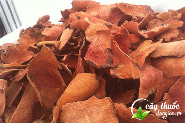 Nên tham khảo ý kiến chuyên gia, thầy thuốc trước khi sử dụng kim cang