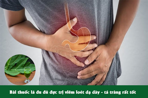 Lá đu đủ đực còn được sử dụng nhiều trong các bài thuốc trị viêm loét dạ dày - tá tràng.