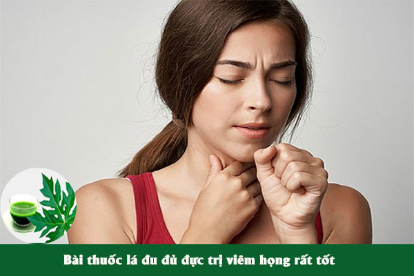 Lá đu đủ đực thường được dùng để làm bài thuốc trị viêm họng.